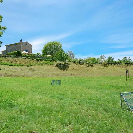 V *